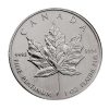 A 1 Oz platinum maple leaf coinj